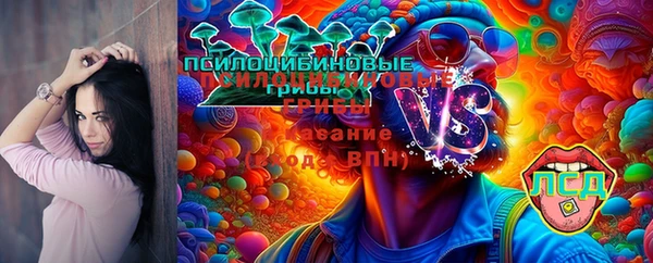 СК Наволоки