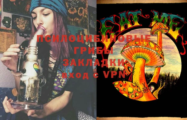 прущие грибы Михайловка